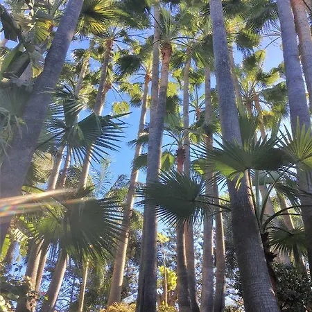 Apartment Perla's House With Incredible Sea View