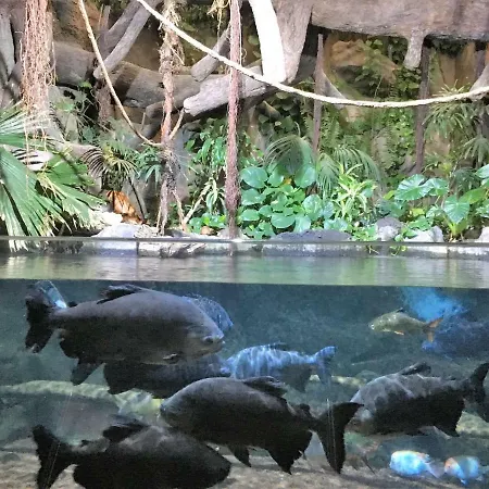 Perla's House With Incredible Sea View Apartment Puerto de la Cruz (Tenerife)